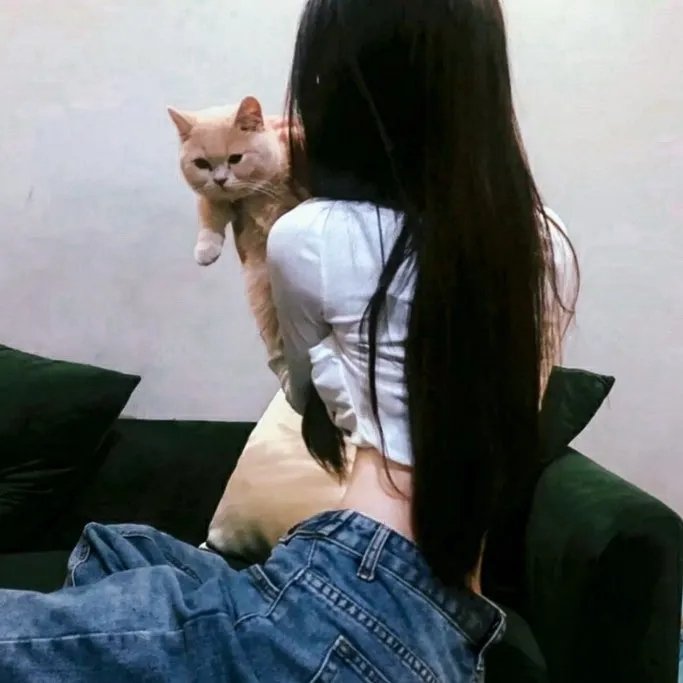 马背上的法庭