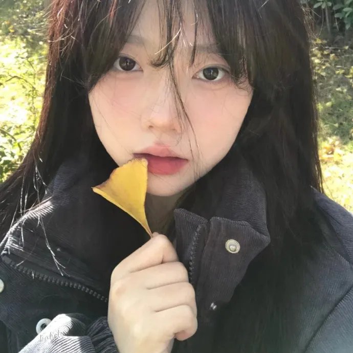 红颜未老恩先断
